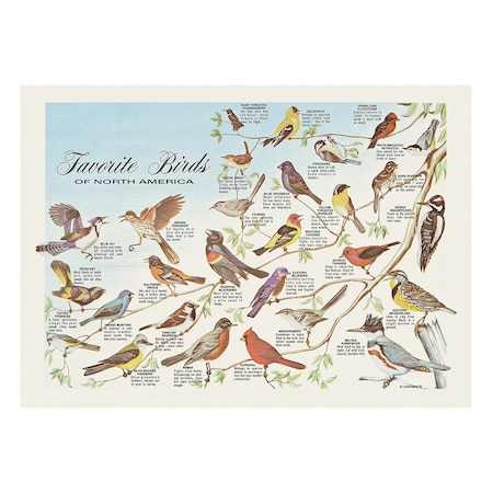 Hoffmaster 10" x 14" Favorite Birds Paper Placemats, PK1000 702025